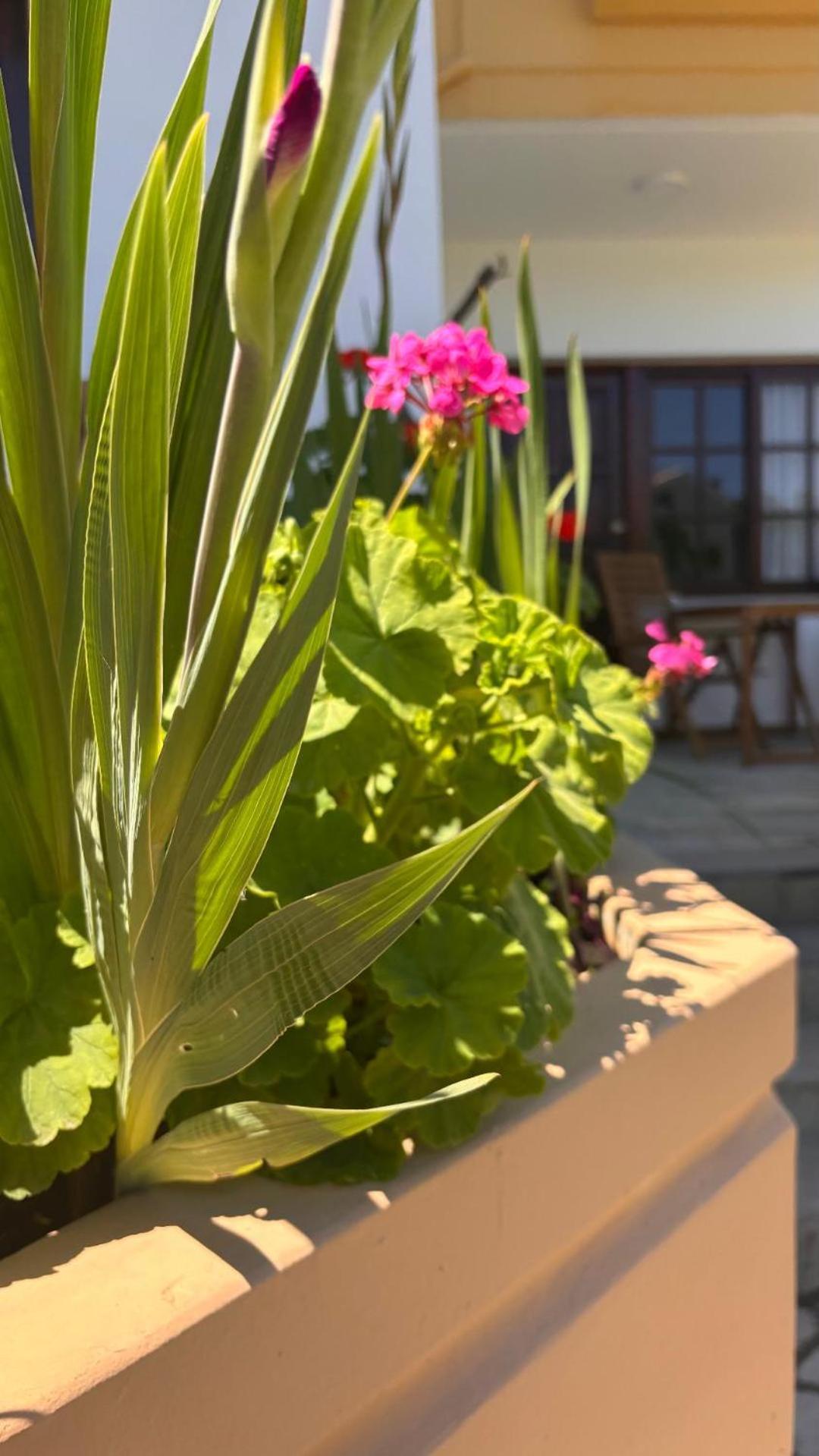 Menelaos Apartments Daratsos Exterior photo